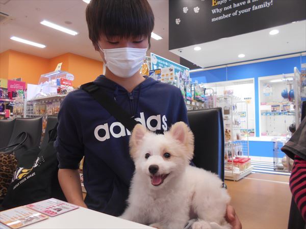 写真