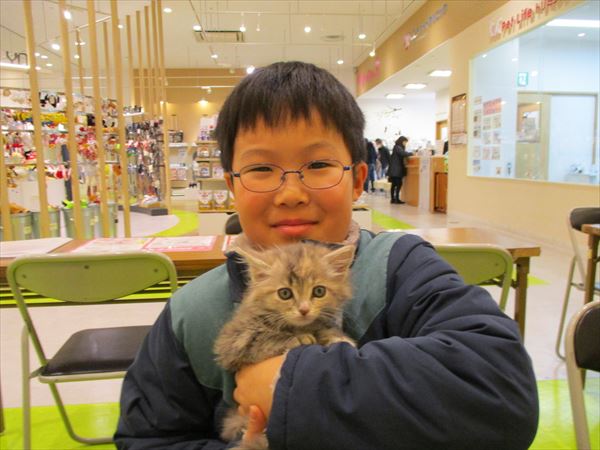 写真