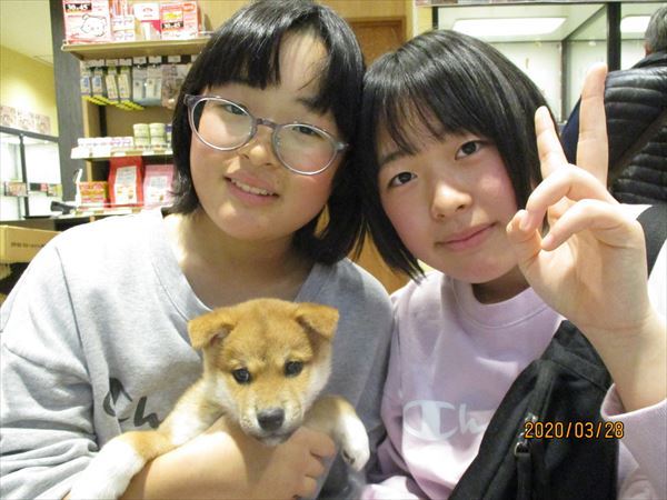 写真