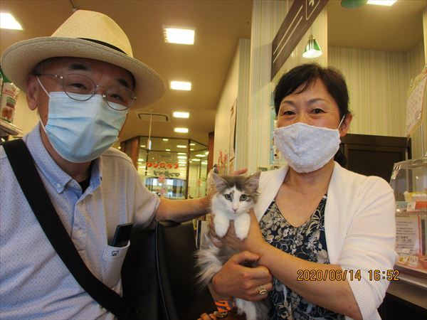 写真