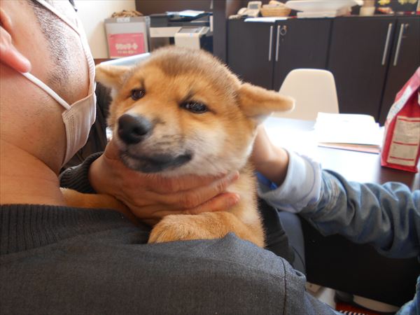 写真