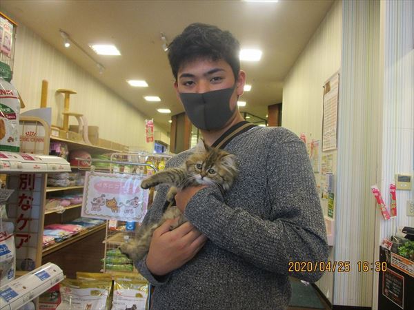 写真