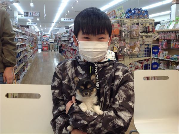 写真