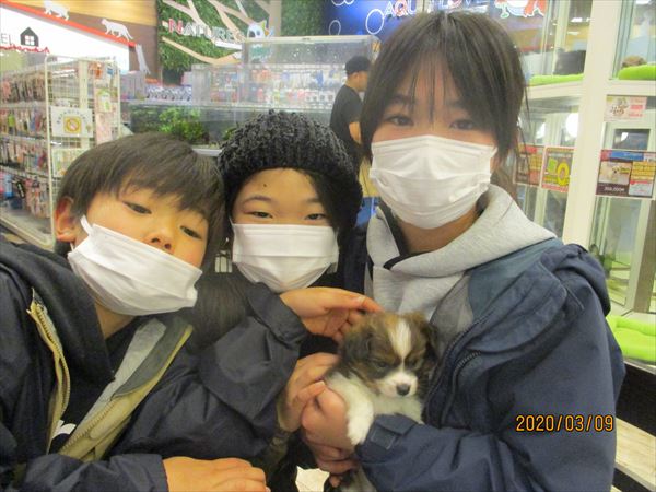 写真