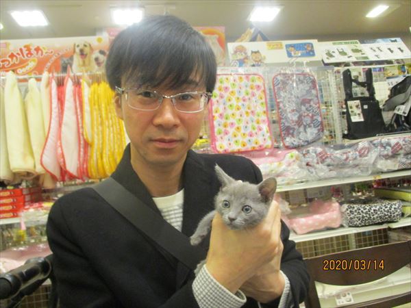 写真