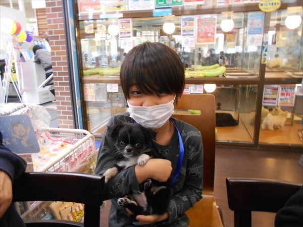 写真