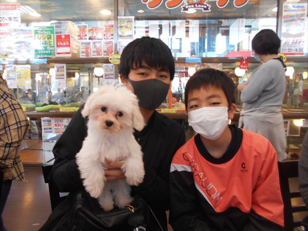 写真