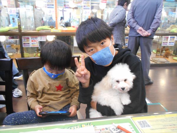写真
