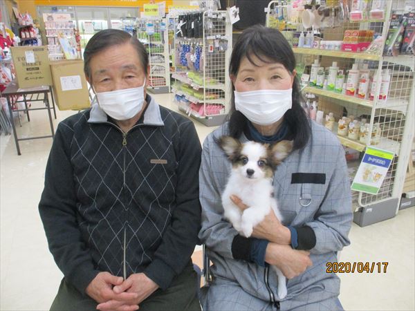 写真