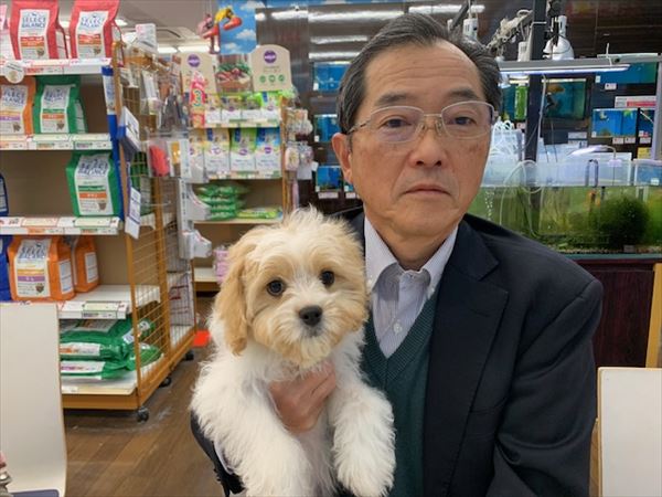 写真