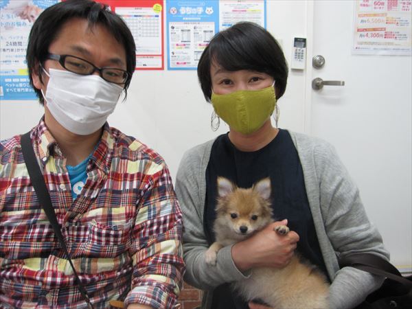 写真