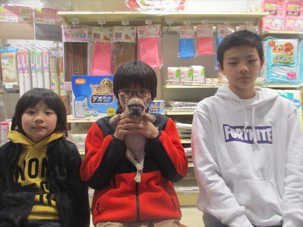 写真