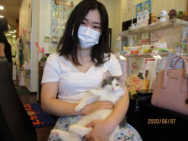 写真