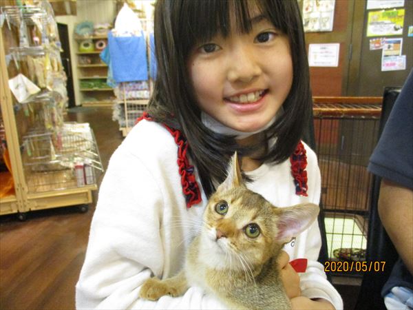写真