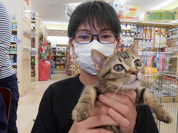 写真