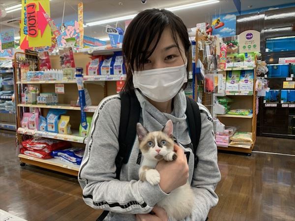 写真
