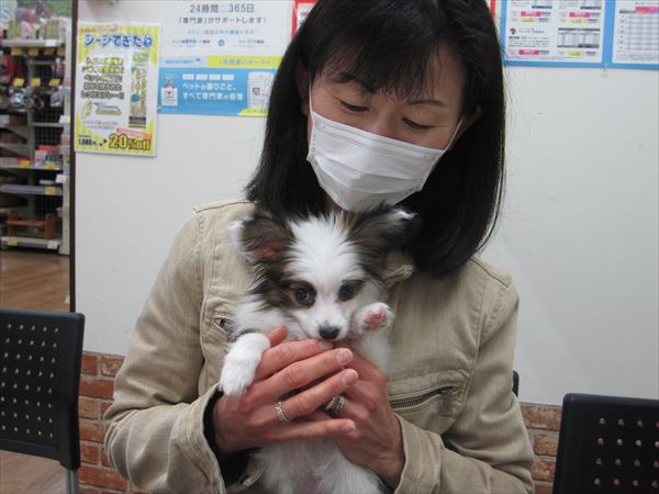 写真