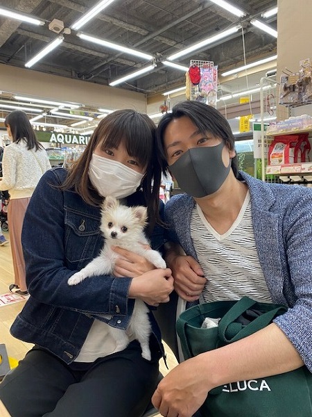 写真