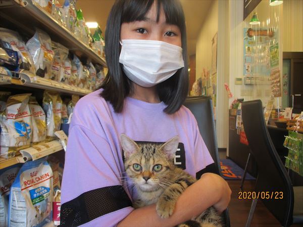 写真