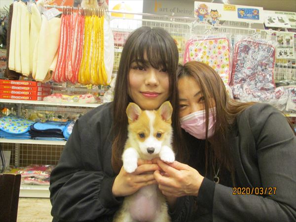 写真