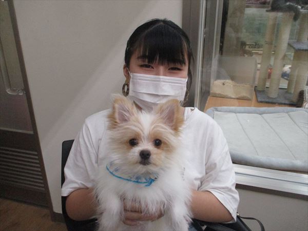 写真