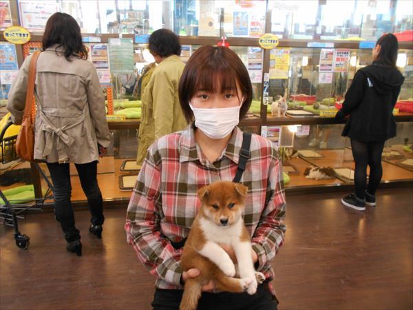 写真