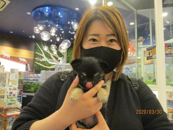 写真