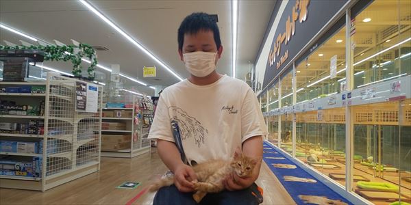 写真