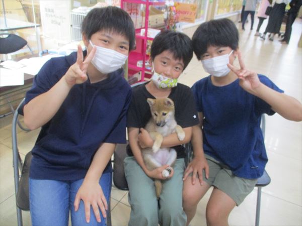 写真