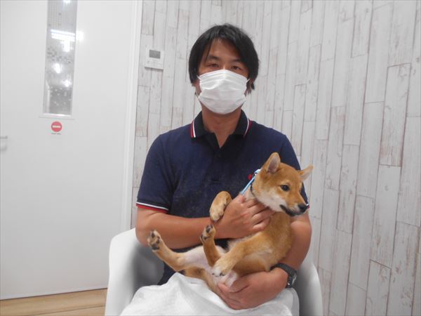 写真