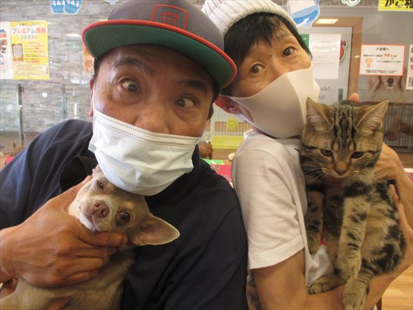 写真