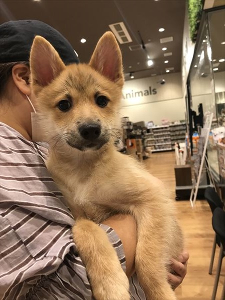 写真