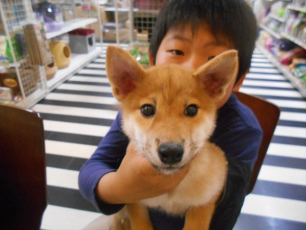 写真