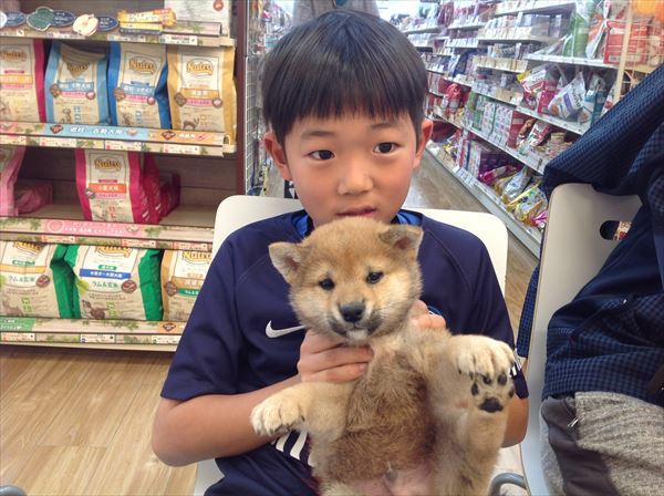 写真