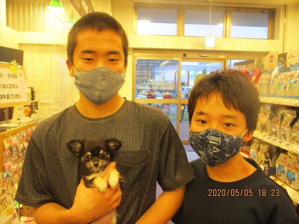 写真