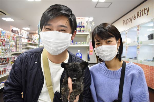 写真