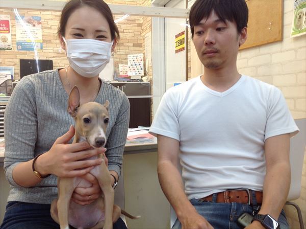 写真