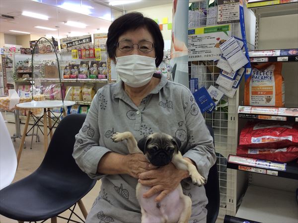 写真