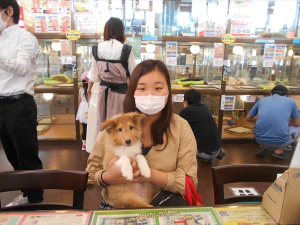 写真