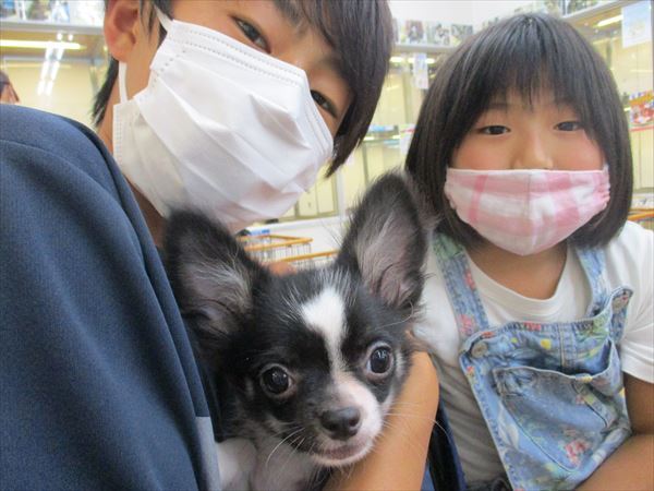 写真