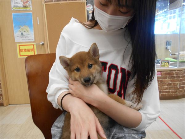 写真