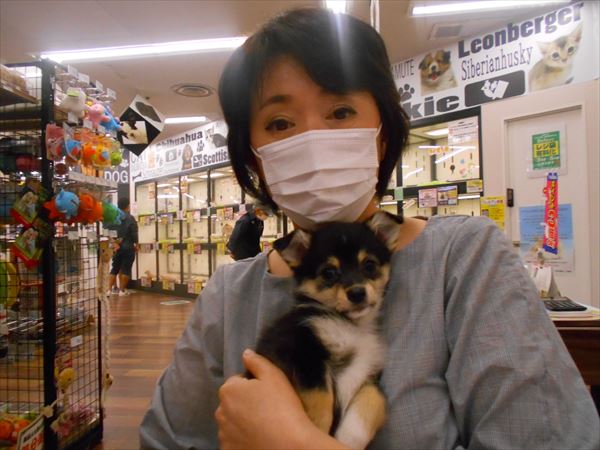 写真