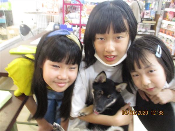 写真