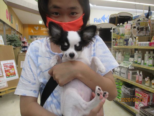 写真