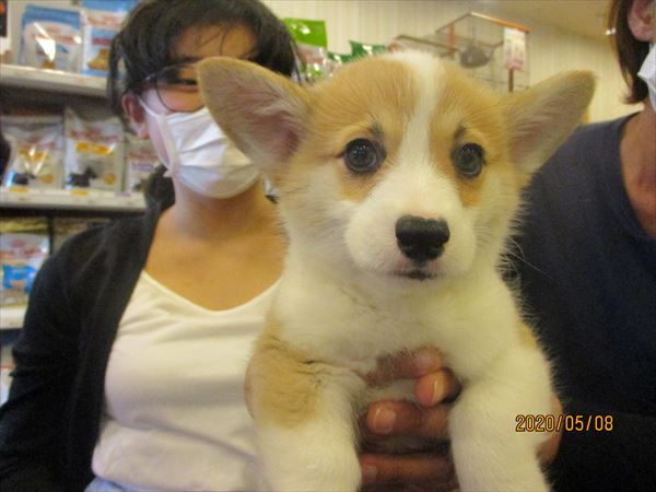 写真