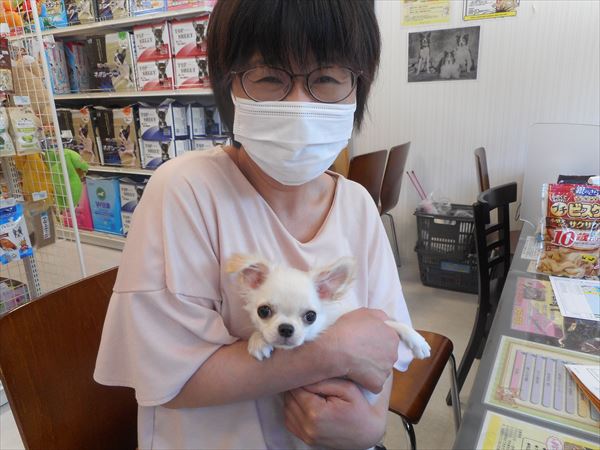 写真