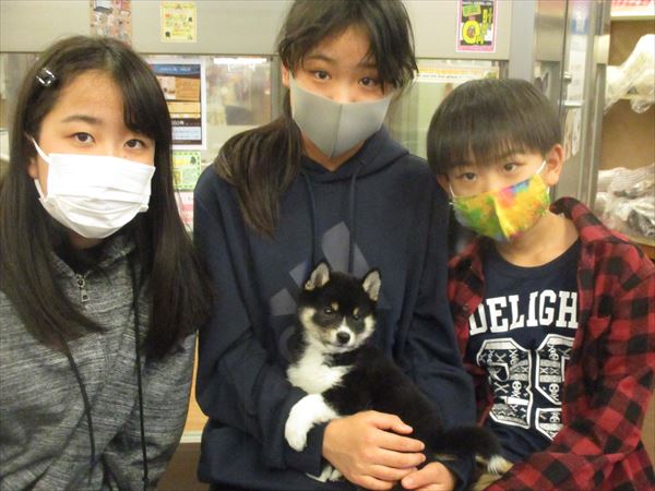 写真