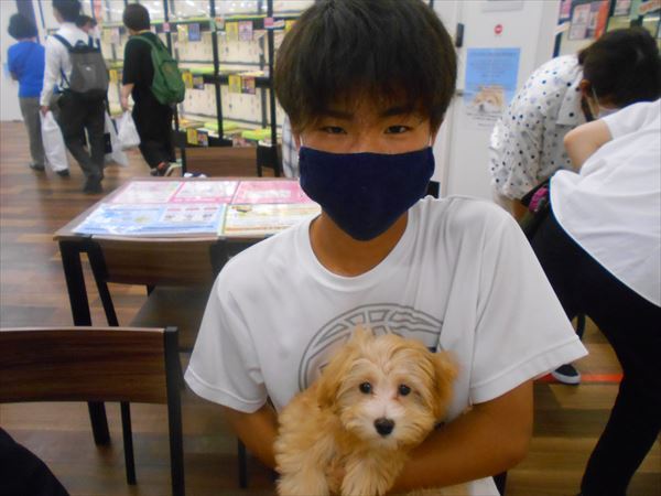 写真