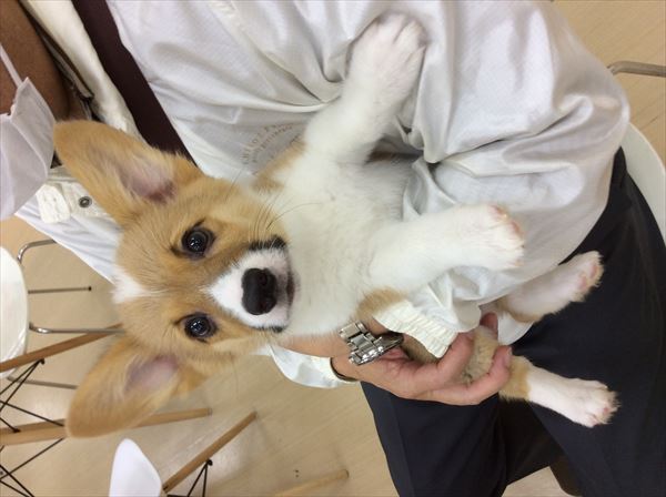 写真