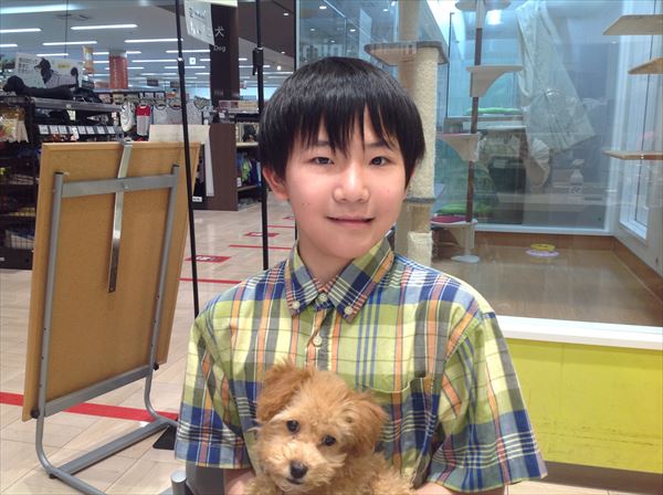 写真